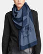 COACH®,COLORBLOCK OBLONG SCARF,Cashmere Blend,CHAMBRAY/NAVY,Angle View