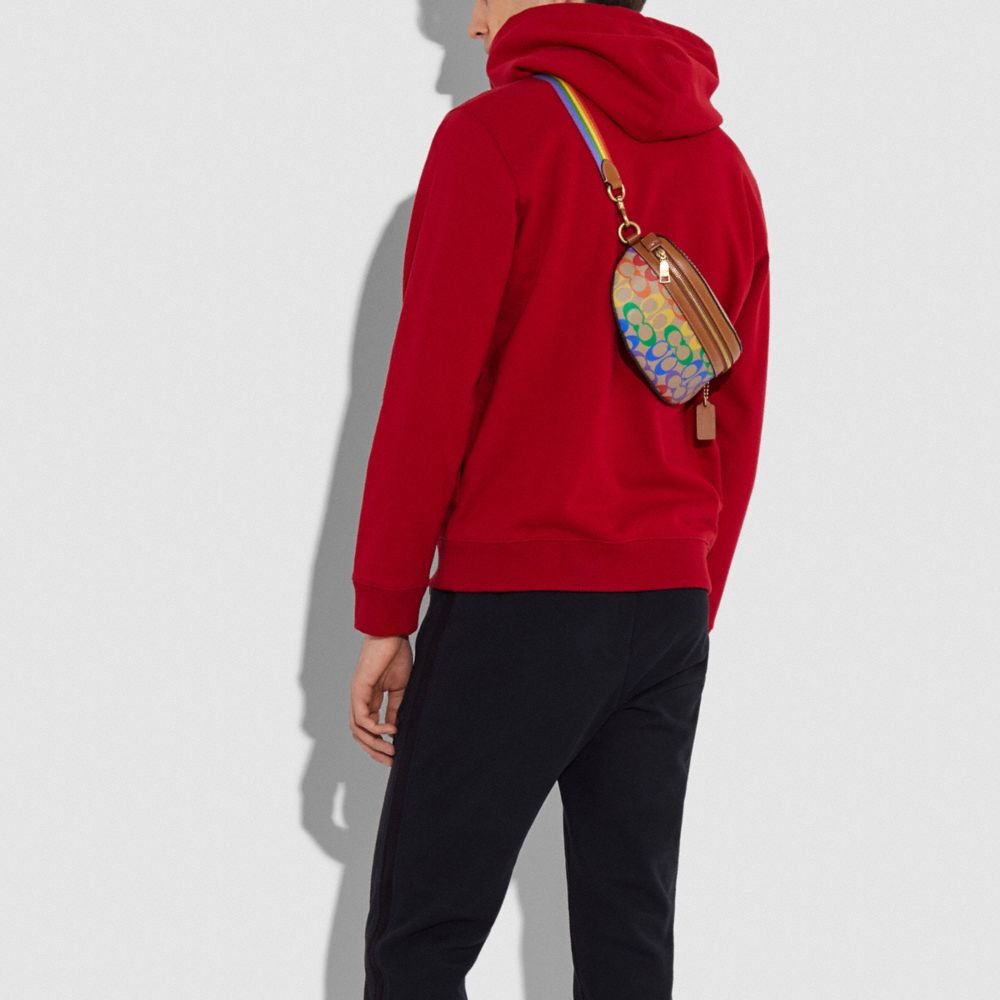 Bethany Belt Bag In Rainbow Signature Canvas