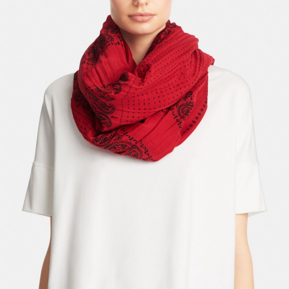 Bandit Oblong Scarf
