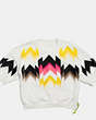 COACH®,HAWK FEATHER SIDE ZIP SWEATSHIRT,Mixed Material,Multicolor,Front View