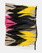 COACH®,HAWK FEATHER SHAWL WITH TASSELS,n/a,Multicolor,Front View