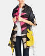 COACH®,HAWK FEATHER SHAWL WITH TASSELS,n/a,Multicolor,Angle View