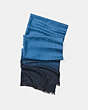 COACH®,SIGNATURE OMBRE STOLE,Silk Cotton,Midnight,Front View