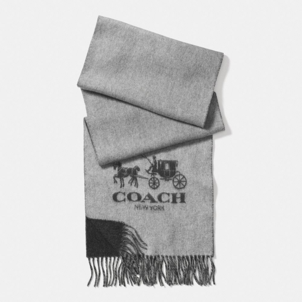 Cashmere Bicolor Scarf