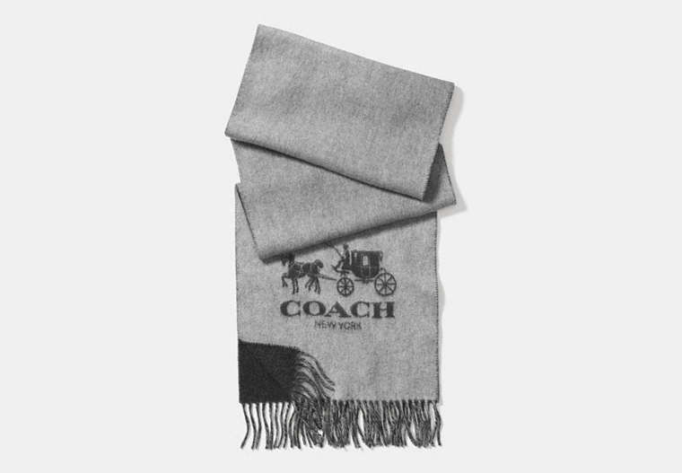 COACH®,CASHMERE BICOLOR SCARF,cashmere,GREY/CHARCOAL,Front View