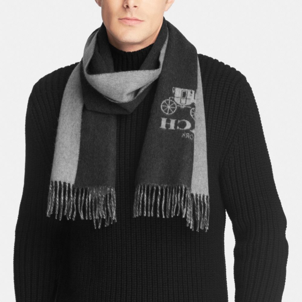 Cashmere Bicolor Scarf