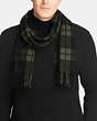 COACH®,MOUNT PLAID SCARF,Wool Blend,MOSS/BLACK,Angle View