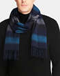 COACH®,BLENDED STRIPE SCARF,cashmere,NAVY/PEACOCK,Angle View
