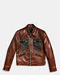 COACH®,LEATHER ROADSTER JACKET,n/a,CHESTNUT/BLACK,Scale View