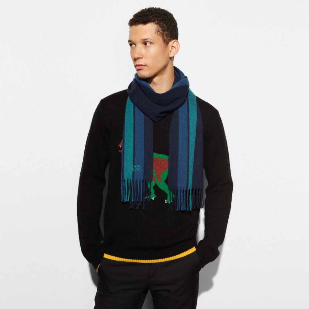 Varsity Stripe Scarf