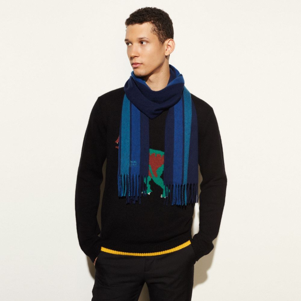 Varsity Stripe Scarf