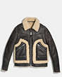 COACH®,SHEARLING STINGER JACKET,n/a,Black Crackle,Front View