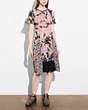 COACH®,SHEER PANEL DRESS,Mixed Material,Pink Multi,Front View