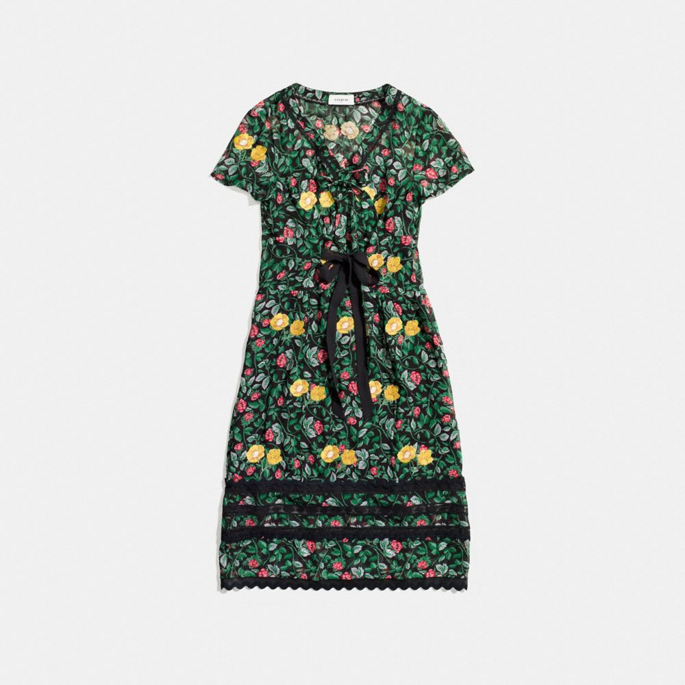 Sheer Dress With Lace