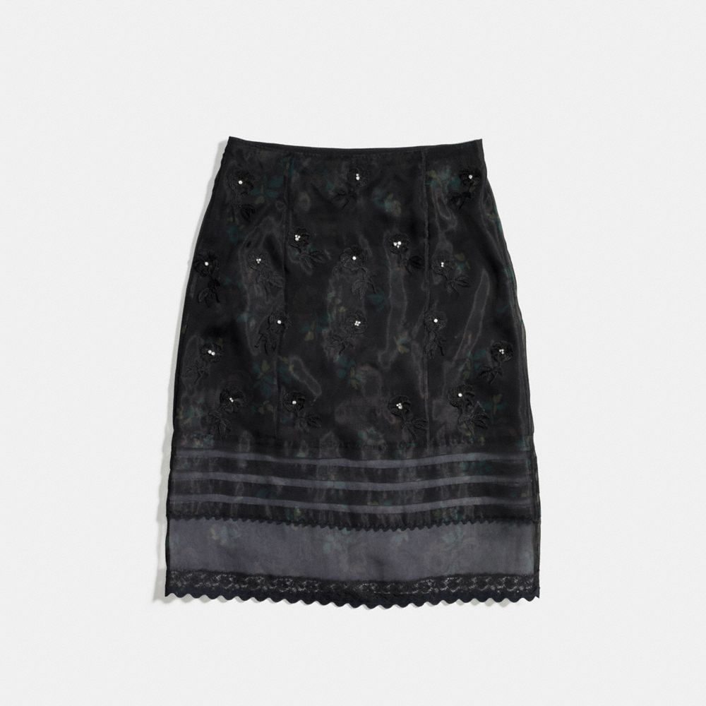 Embroidered Sheer Skirt With Pleats