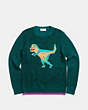 Sparkly Rexy Sweater