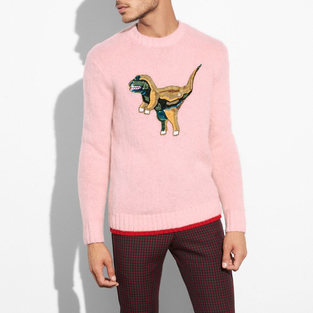 COACH Fluffy Embroidered Rexy Sweater COACH