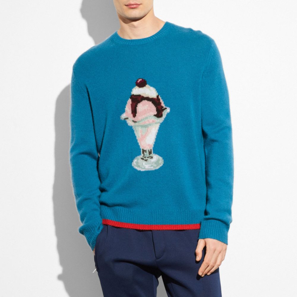 COACH®,SUNDAE INTARSIA SWEATER,cashmere,BLUE,Scale View