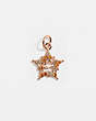 Collectible Star Signature Charm