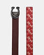 Signature Buckle Reversible Belt With Horse And Carriage Print, 38 Mm