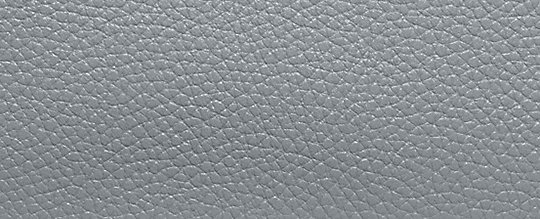 COACH®,CASSIE CROSSBODY 19,Leather,Medium,Silver/Grey Blue