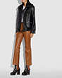 COACH®,LEATHER JACKET WITH KNIT COLLAR,Leather,Black,Scale View