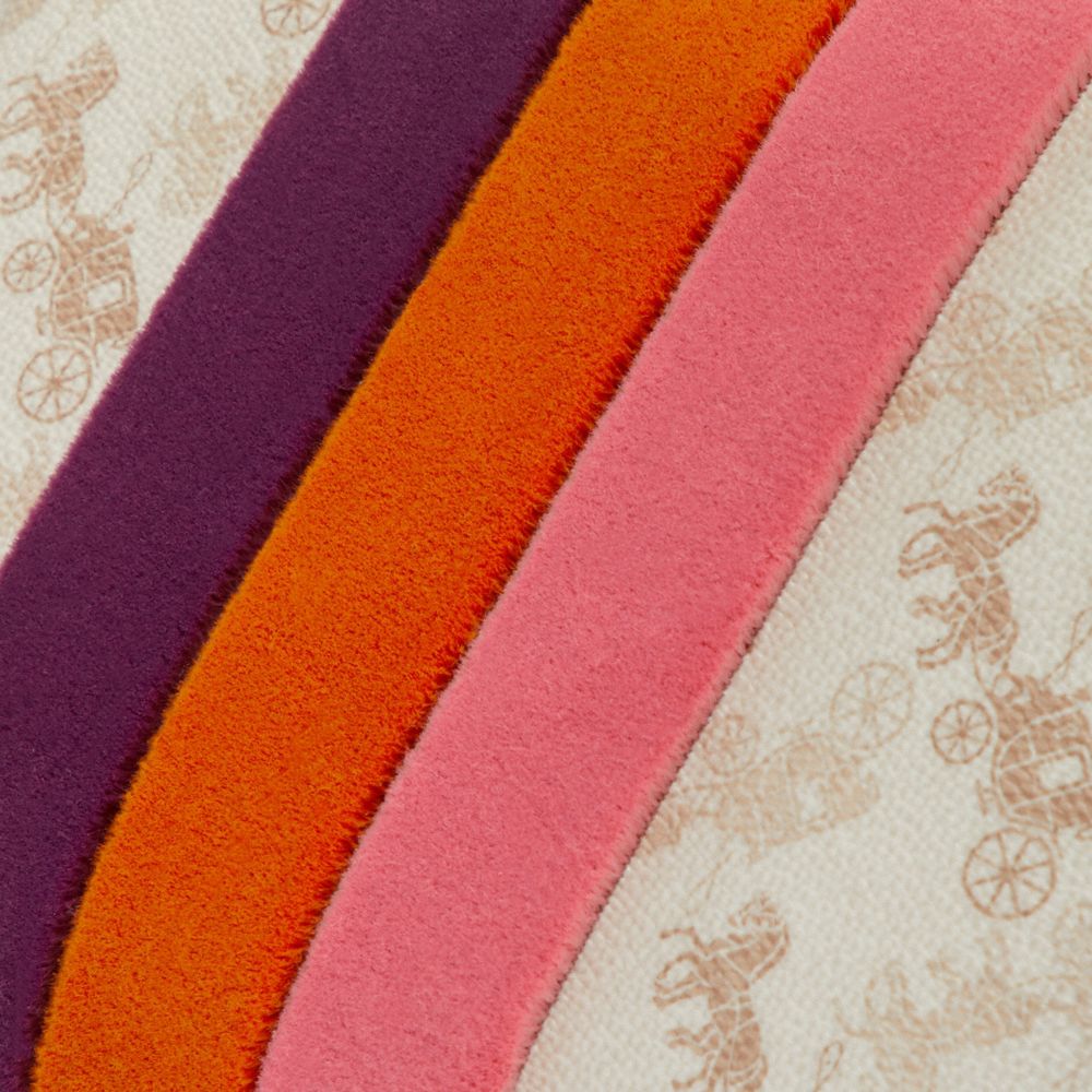 COACH®,Charlie Pouch With Horse And Carriage Print And Varsity Stripe,,Closer View