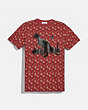 COACH®,HORSE AND CARRIAGE PRINT REXY IN THE CITY T-SHIRT,cotton,RED/PINK,Front View