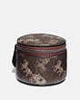 COACH®,ROUND CASE WITH HORSE AND CARRIAGE PRINT,Coated Canvas,Mini,Brown/Tan,Front View