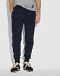 COACH®,HORSE AND CARRIAGE FLEECE TRACK PANTS,Mixed Material,Deep Navy,Scale View