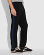 COACH®,ELEVATED TRACK PANTS,Mixed Material,Black/Navy,Scale View
