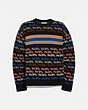Rainbow Horse And Carriage Sweater