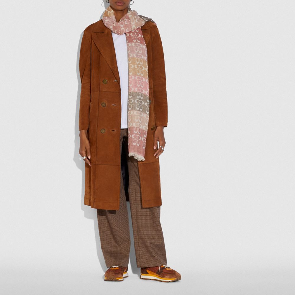 COACH®,Signature Ombre Stripe Oblong Scarf,,Angle View