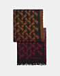 Diagonal Horse And Carriage Ombre Stripe Print Scarf