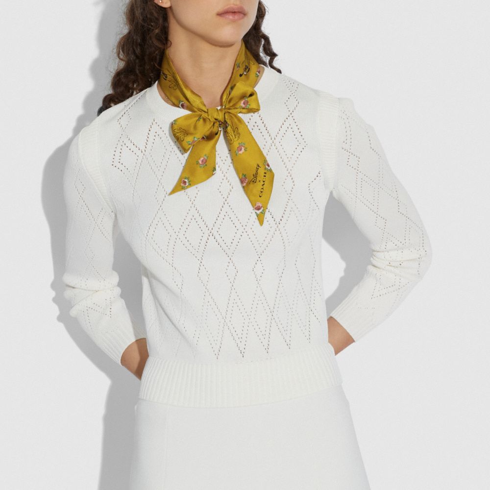 Disney X Coach Signature Pluto Print Silk Skinny Scarf