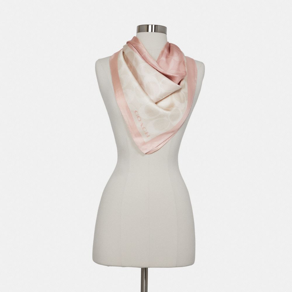 Women's Louis Vuitton Scarves and mufflers from $189