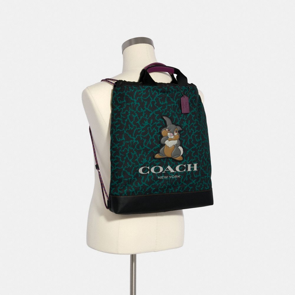 Coach terrain drawstring backpack online