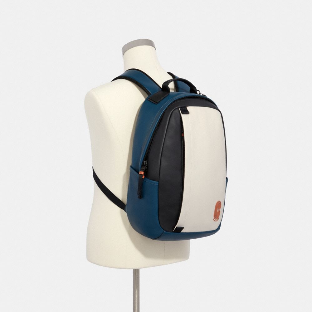 Edge Backpack In Colorblock