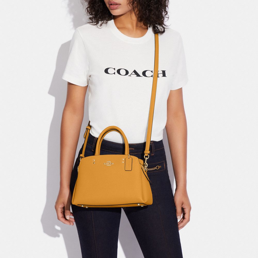 Coach mini carryall bag new arrivals