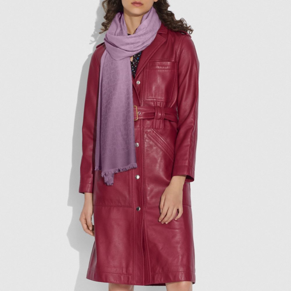 Signature Ombre Stole