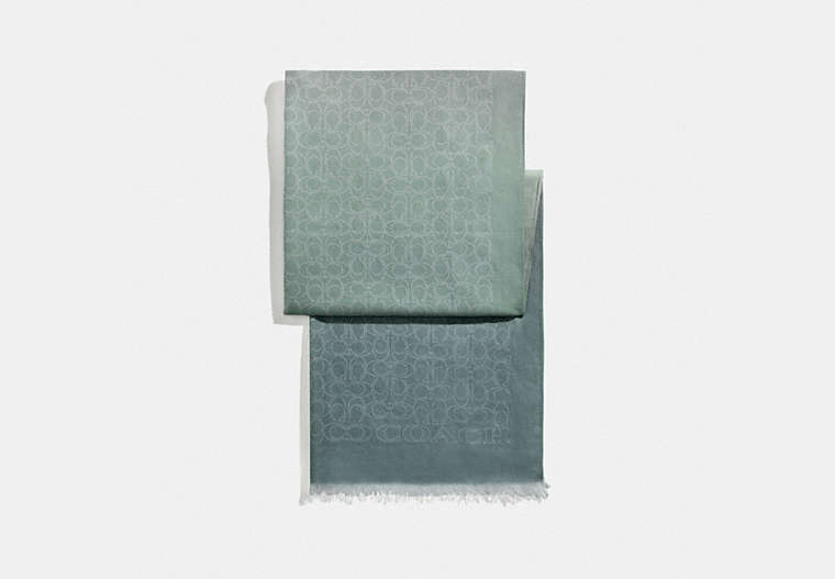 COACH®,SIGNATURE OMBRE STOLE,silkcotton,Pine Green,Front View image number 0