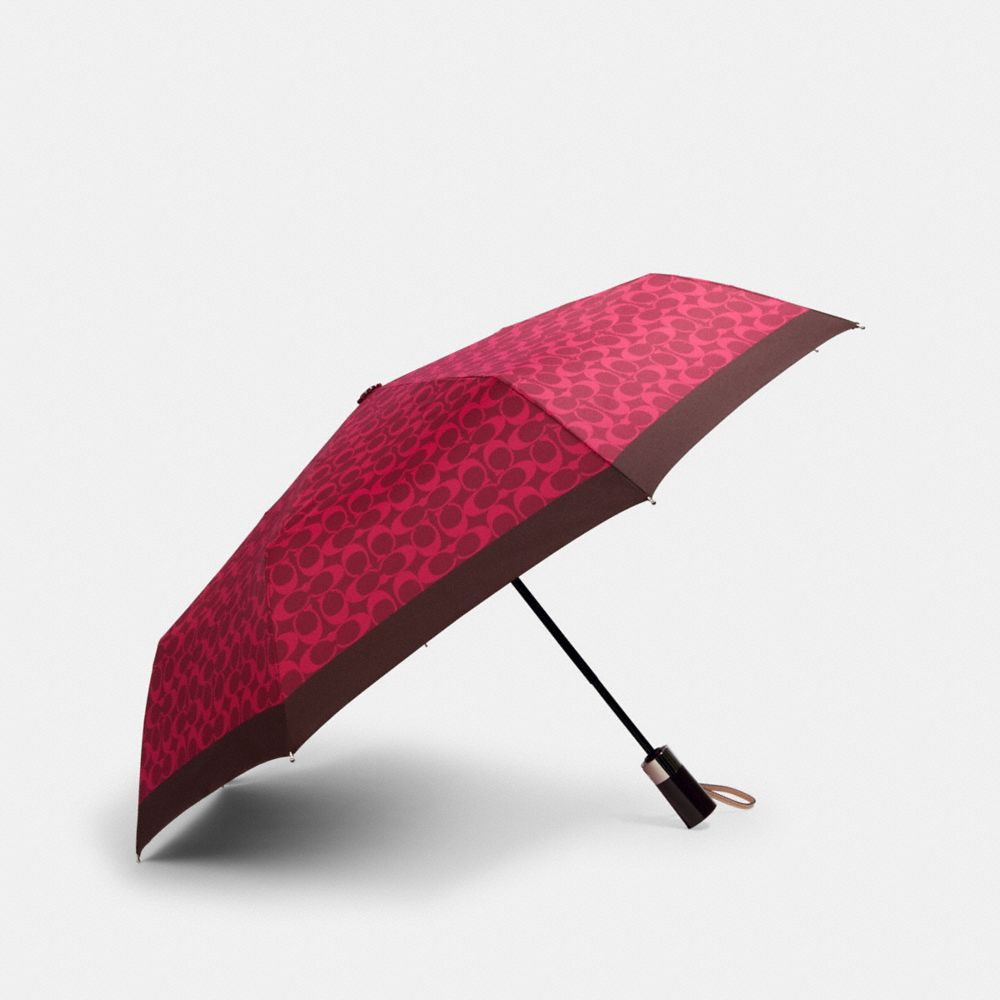 Umbrella In Fun Signature Print