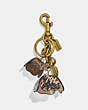 COACH®,TEA ROSE BAG CHARM IN SNAKESKIN,Leather,Brass/Snake Sig Multi,Front View