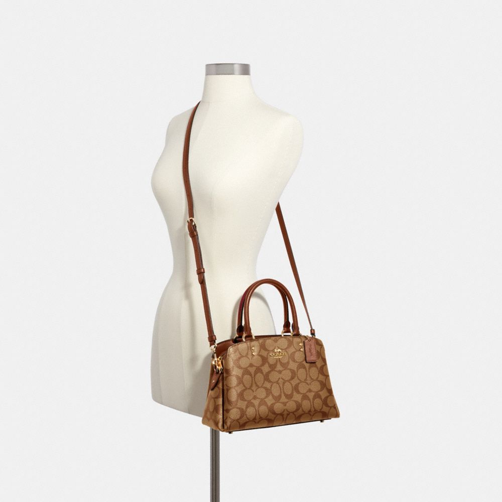 Mini lillie carryall best sale in colorblock signature canvas