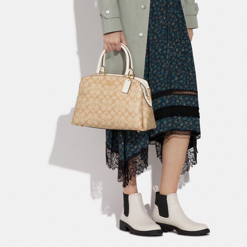 Mini lillie carryall online in blocked signature canvas