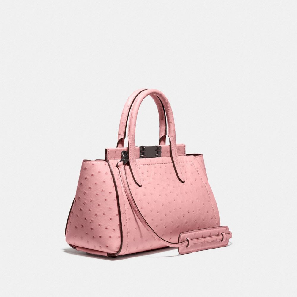 Troupe Carryall In Ostrich