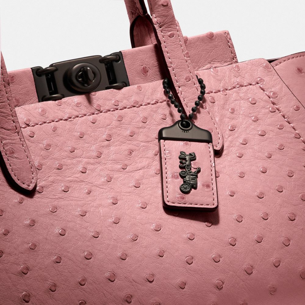 Troupe Carryall In Ostrich