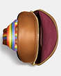COACH®,ACADEMY PACK IN RAINBOW SIGNATURE CANVAS,Coated Canvas,Medium,Brass/Multi,Inside View,Top View