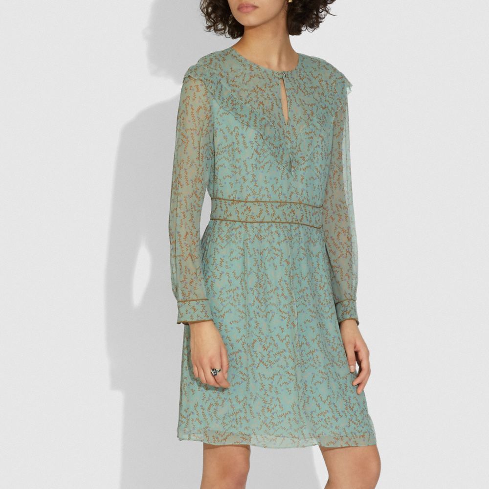 Printed Short Chiffon Dress