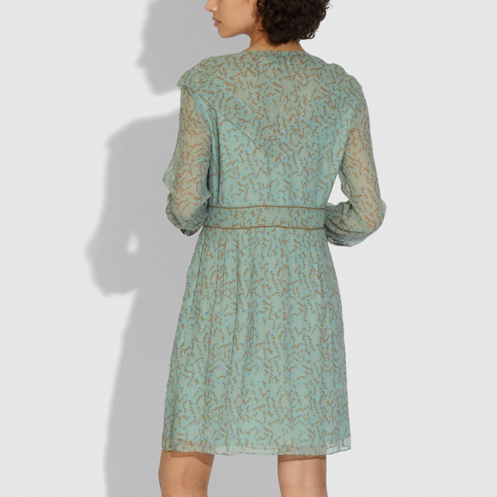 Printed Short Chiffon Dress